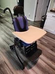 Rifton Hi-lo Medium 850 Activity Chair. Fixed Price $1899.00.