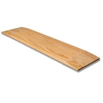 Dmi Transfer Board And Slide Made Of Heavy-duty Wood For Patient, Senior. Fixed Price $40.99.