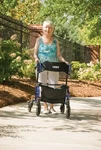 Graham-field Hybridlx Rollator Transport Chair. Fixed Price $257.22.