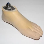 Very Nice Ottobock 1G6-L24 Pedilan Light Prosthetic Foot Sz Cat Left. Fixed Price $184.53.