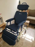 Barton Convertible Chair H-250 250LBS Weight Used. Fixed Price $3500.00.
