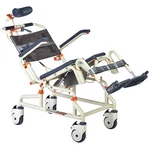 Roll-in With Tilt Shower/commode Chair (shower Buddy). Fixed Price $2395.00.